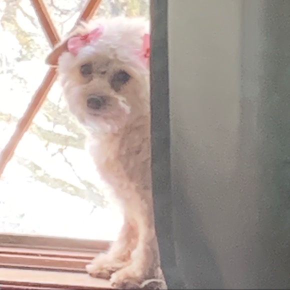 Julie - Picture 1 of 1